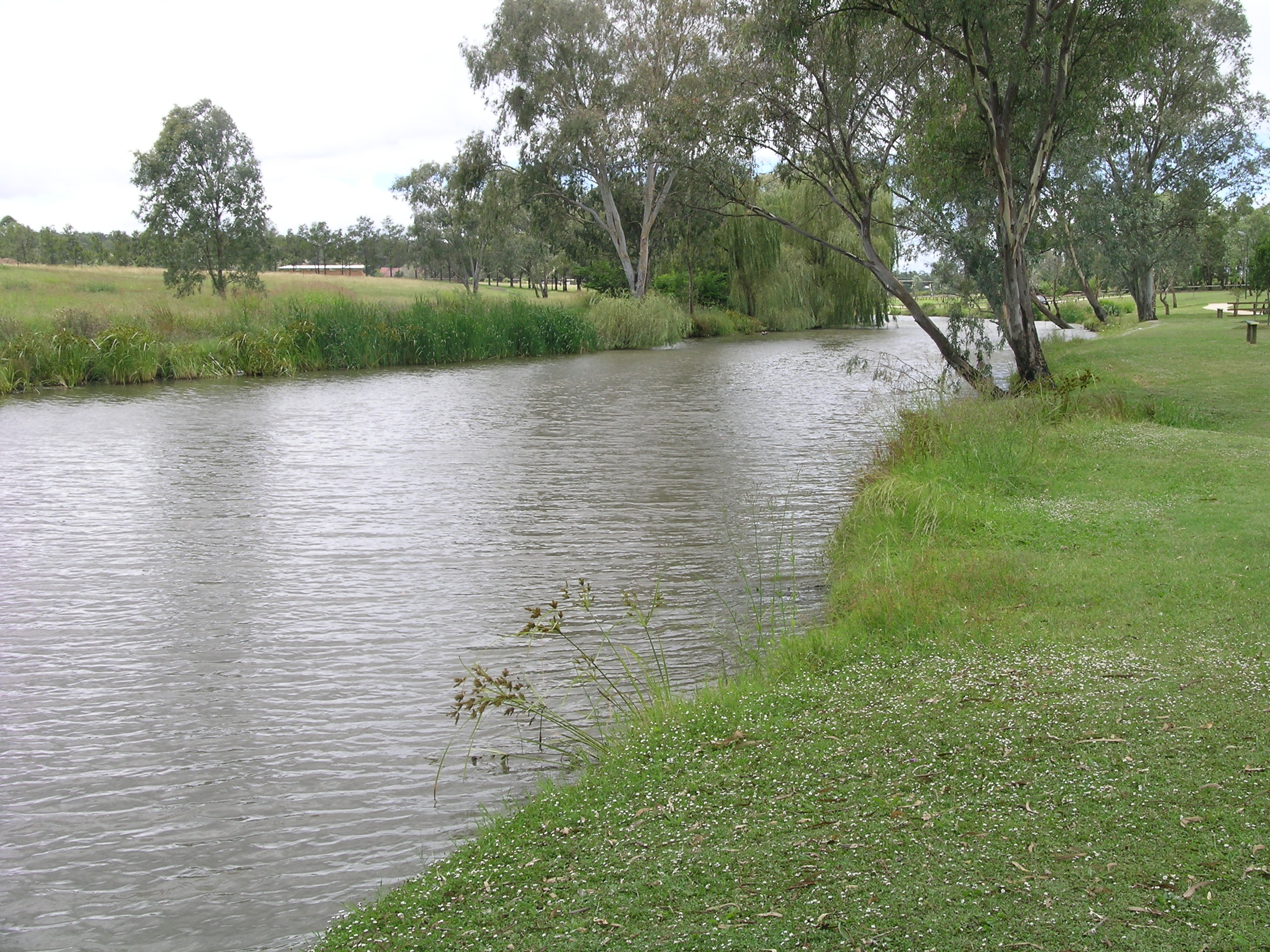 Chinchilla Weir Water Level