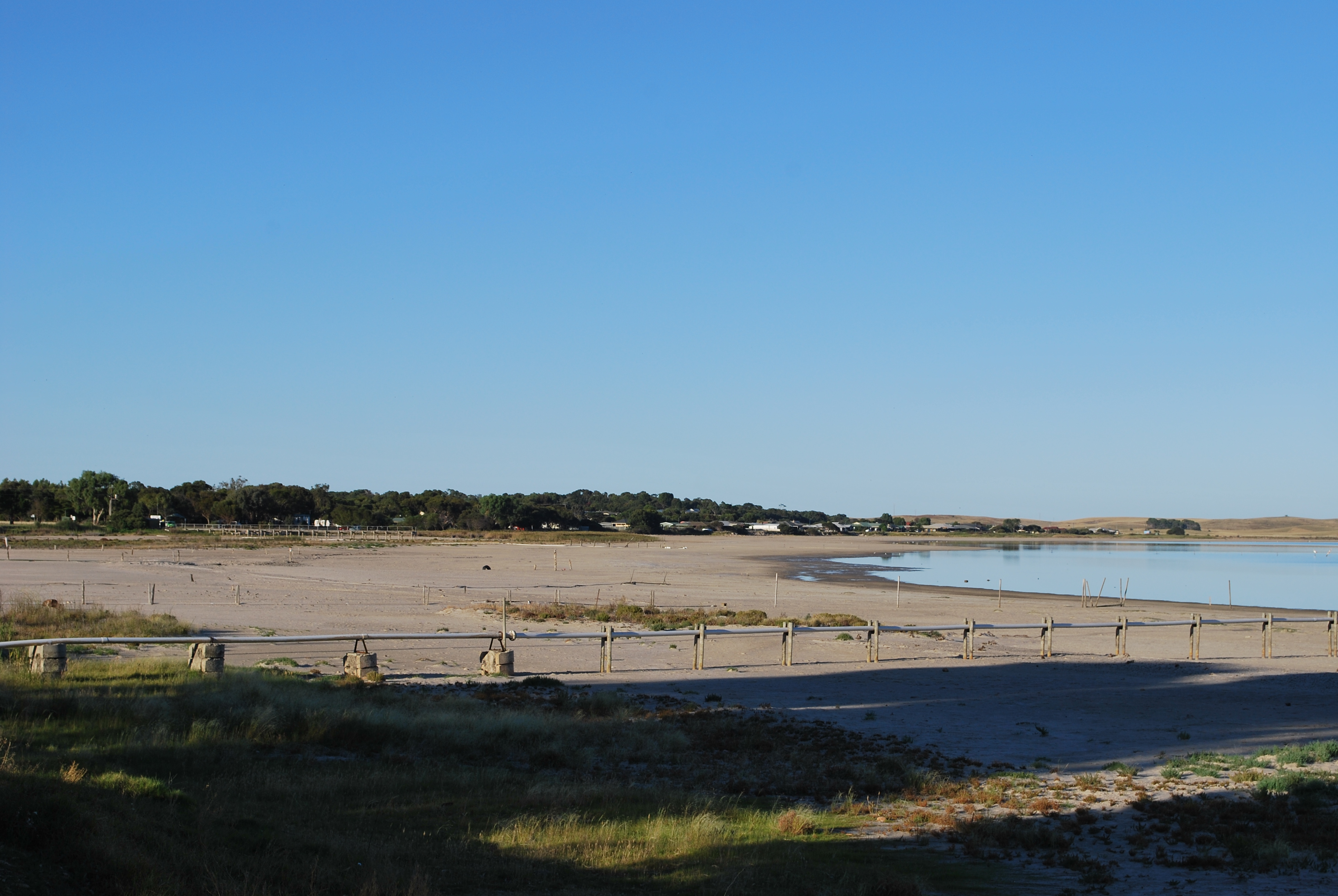 Lake Albert Water Level