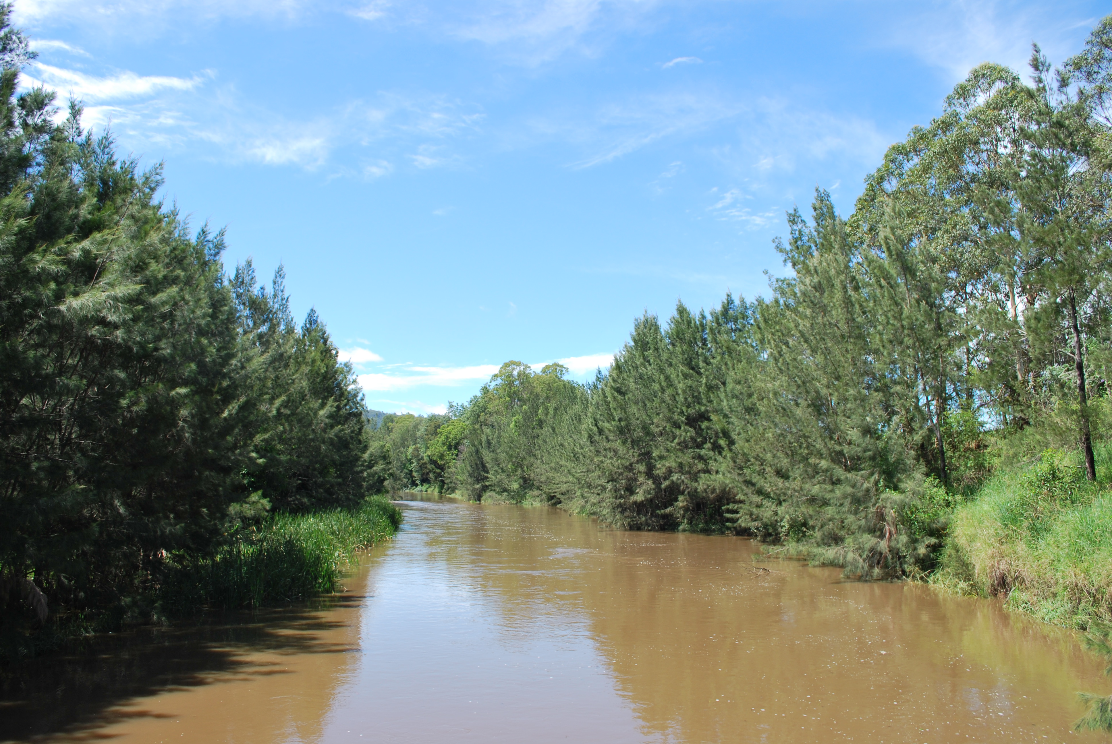 Mary Barrage Water Level