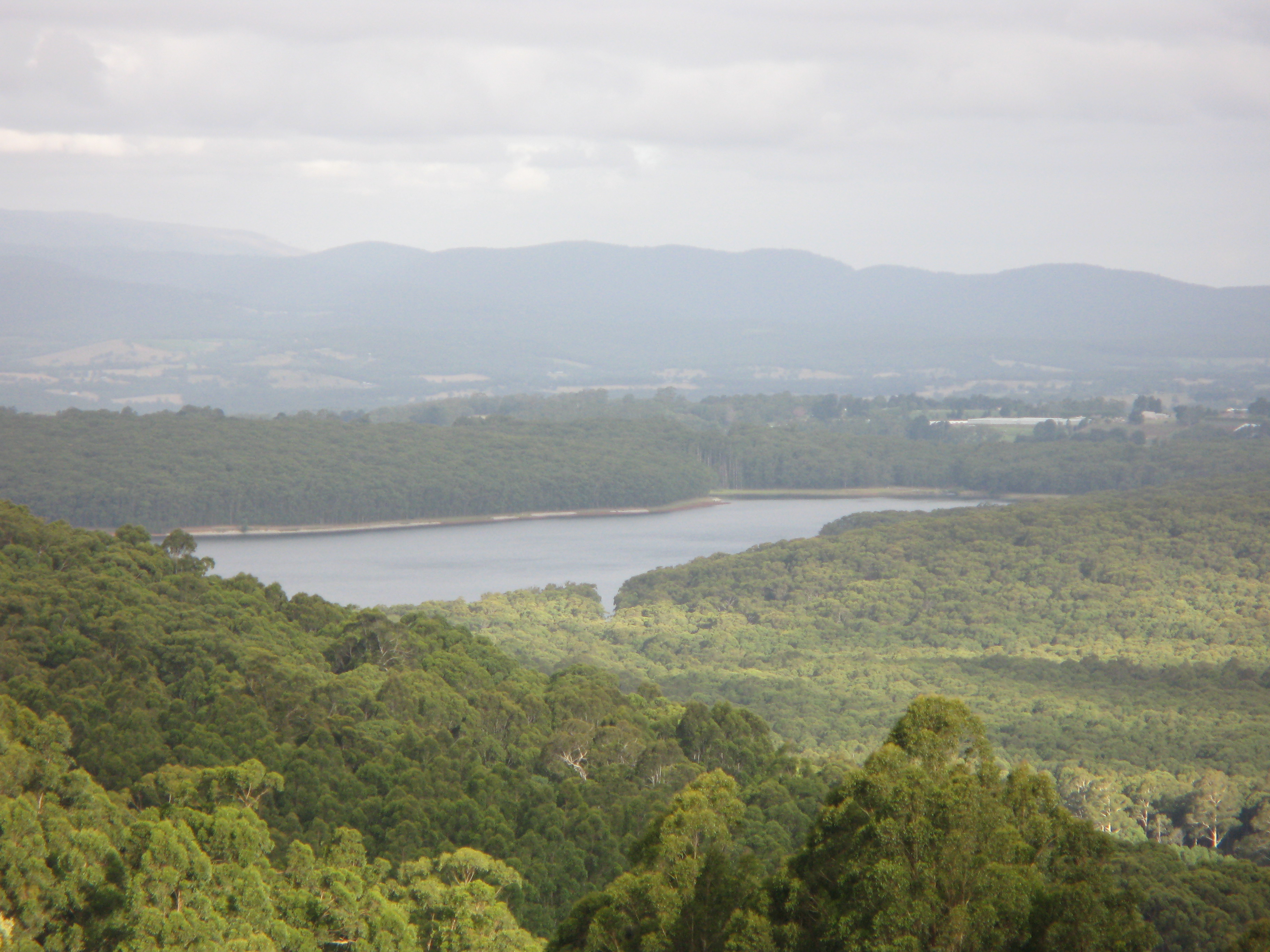 Silvan Water Level